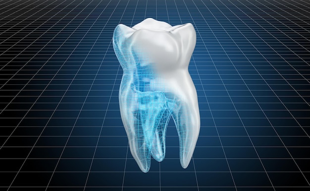 Visualisierung eines 3D-CAD-Modells der 3D-Rendering eines menschlichen Zahns