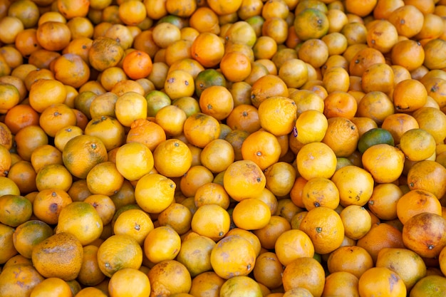 Vitamin C Quelle gelbe reife Mandarinen und Orangen an der Mandarine. Saures Obst.