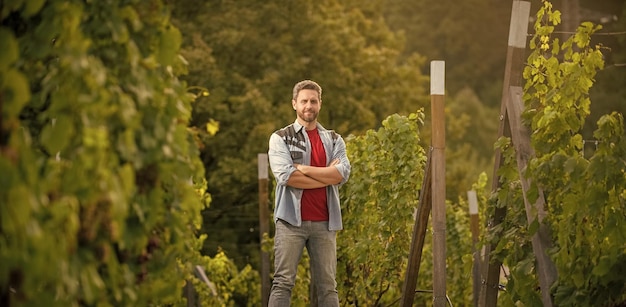 Viticultor confiado que se coloca en la granja viticultor de la bodega