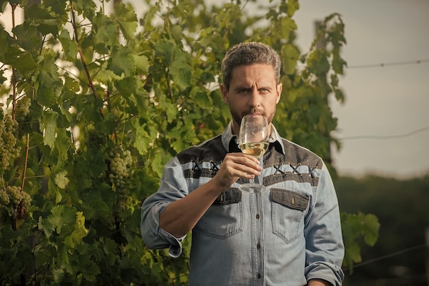 Viticultor hombre agricultor bebe vino en viticultor de granja de uva