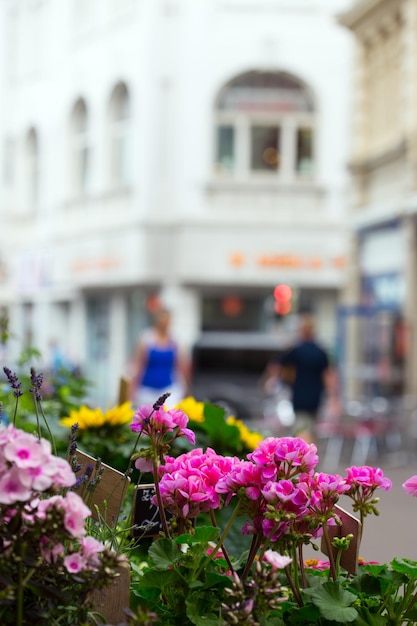 Vitrine de floricultura