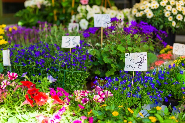 Vitrine de um balcão de flores com etiquetas de preço para flores