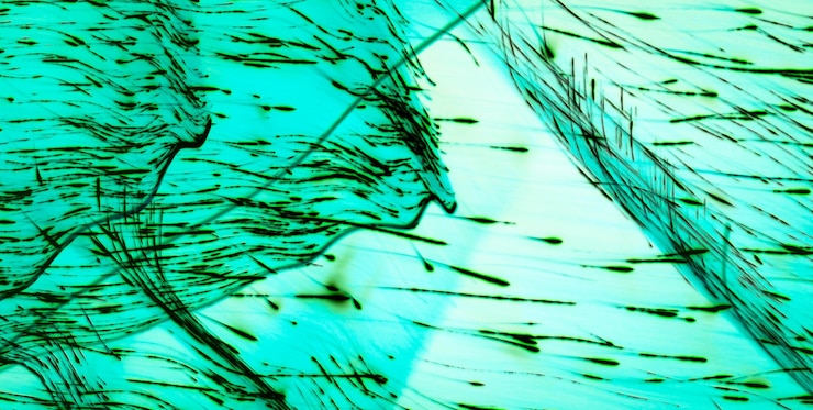 Foto viva expresión artística verde con patrones abstractos