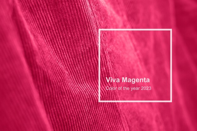 Viva Magenta textura de veludo tonada ano 2023 fundo de cor monocromática