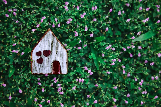 Vivendo em um estilo de vida de harmonia modelo de casa de madeira na grama verde perto da natureza