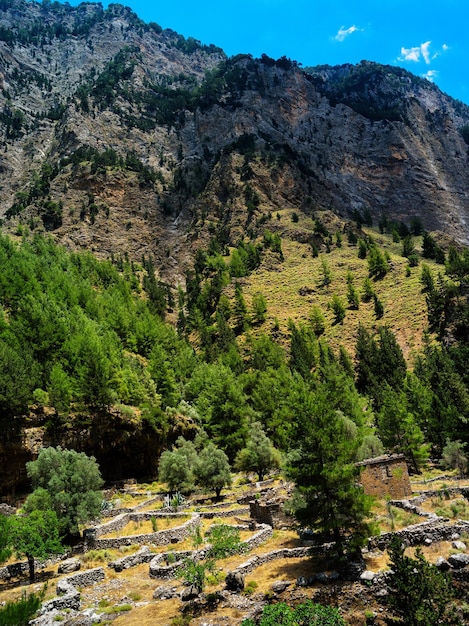 Vivid vibrante paisaje de pueblo de montaña vertical