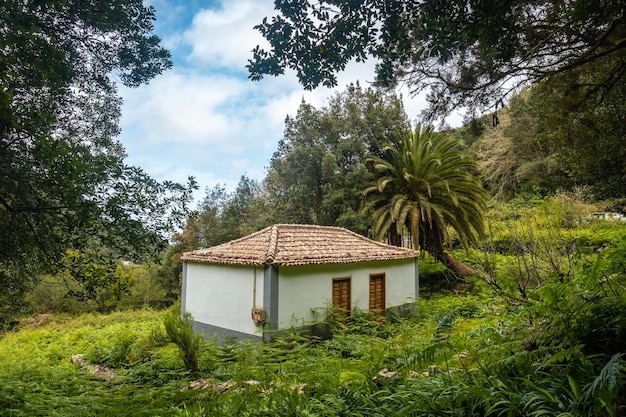 Una vivienda local en la montaña en el bosque nuboso siempreverde del Parque Nacional de Garajonay, La Gomera, Islas Canarias