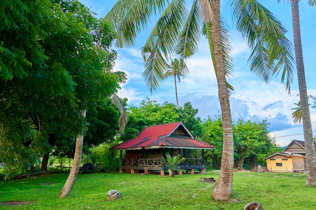 Vivienda vacacional. Una casa en la jungla en una isla.