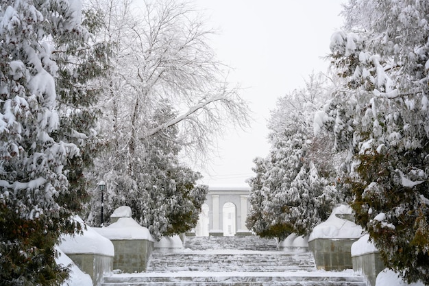 Vladimirsky Park an einem nebligen verschneiten Wintertag