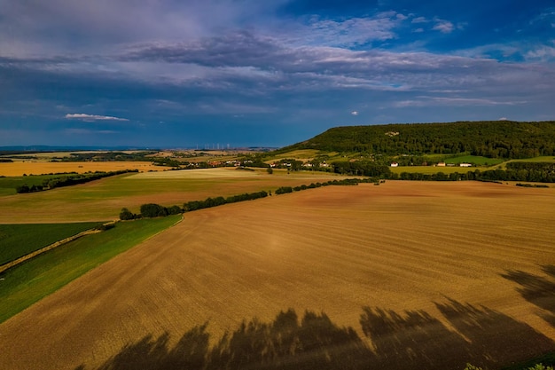 Foto voando sobre alguns campos dourados e florestas verdes alemanha