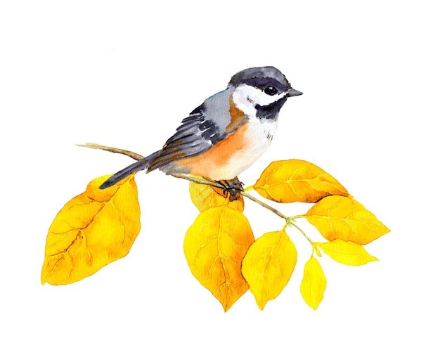 Foto vogel am herbstzweig mit abstrakten gelben blättern. aquarell