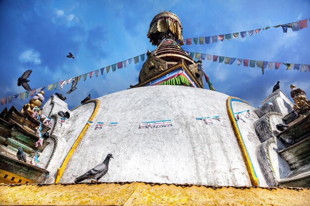 Vogel auf Kathesimbhu-Stupa