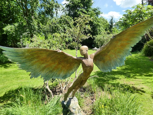 Foto vogel fliegt im wald