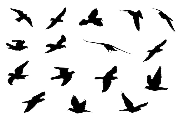 Vogel fliegt isoliert auf weißem Hintergrund