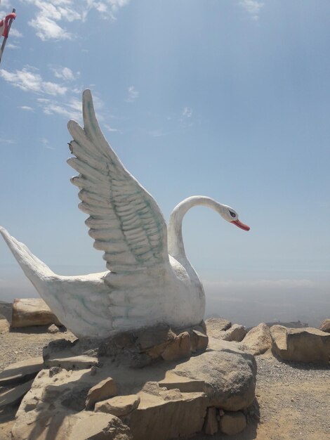 Foto vogel fliegt über felsen gegen den himmel