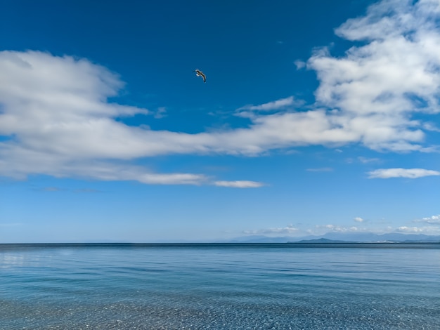 Vogel fliegt über ruhiges Meer und blauen Himmel