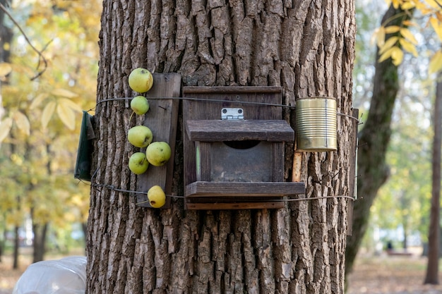 Foto vogel- und eichhörnchenhäuschen, das an einem baum im park hängt