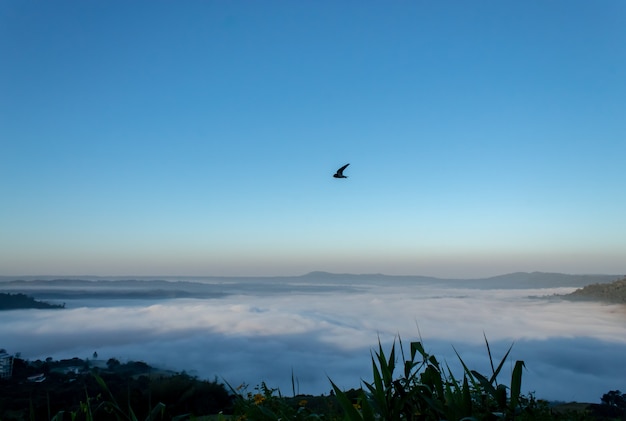 Vogel- und Morgennebel bei Khao Kho, Phetchabun in Thailand.