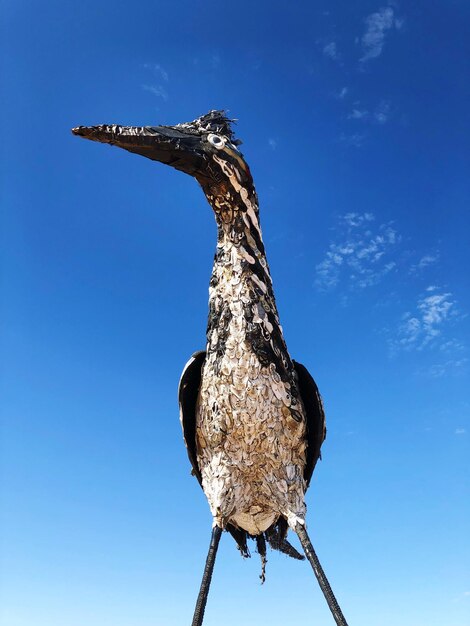 Foto vogelansicht aus geringerem winkel