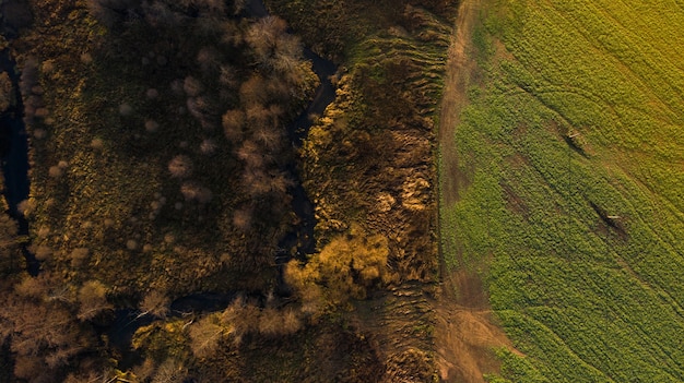 Vogelblick auf Wald und Feld