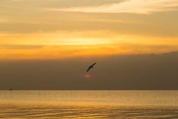 Vogelfliegen im Meer