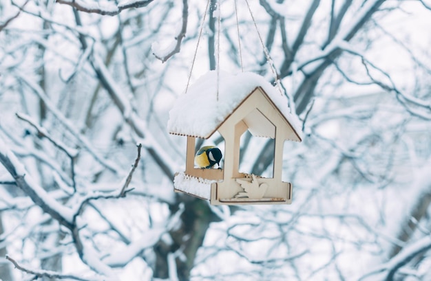 Vogelhäuschen auf einem Baum im Winter