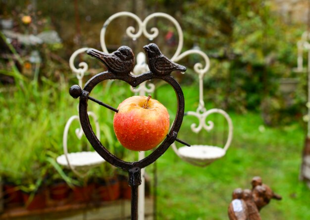 Foto vogelhäuschen aus metall mit apfel in herzform