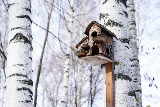 Vogelhaus auf der Birke im Winter Russland