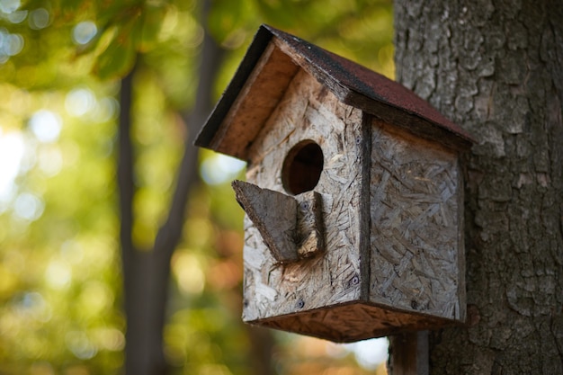 Vogelhaus auf einem Zweig auf einem Baumstammvogelhaus im Herbst im Park im Wald verwischte Hintergrund