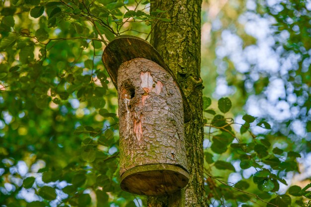 Vogelhaus aus Holz auf einem Baum.