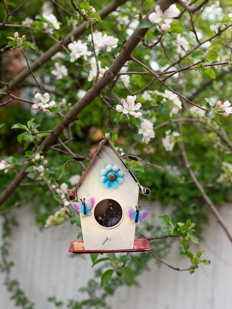 Vogelhaus, das an einem Zweig eines blühenden Baumes hängt. Vogelpflege.