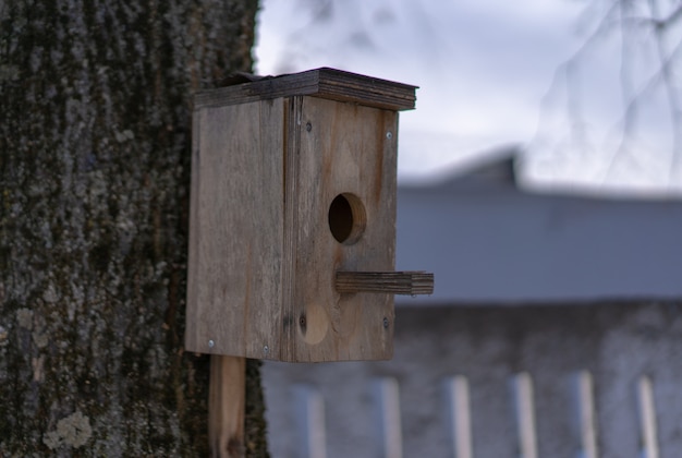 Vogelhaus für Vögel auf einem Baum montiert