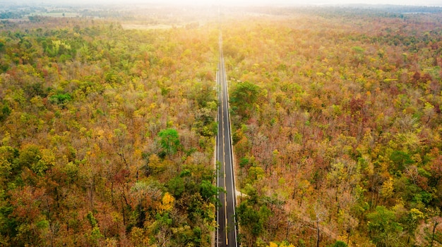 Vogelperspektive der Straße im Herbstwald bei Sonnenuntergang. Erstaunliche Landschaft mit Landstraße, Bäume mit Rot an