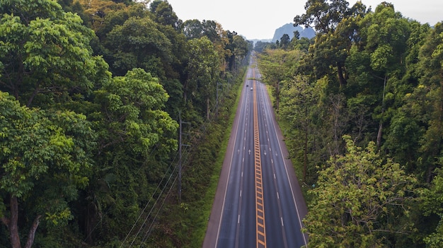 Vogelperspektivelandschaft des Baums oder des Waldes, Krabi Thailand