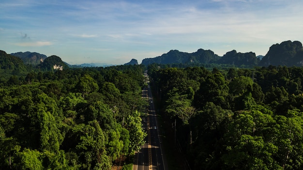 Vogelperspektivelandschaft des Baums oder des Waldes und der Straße, Krabi Thailand - Bild