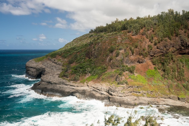 Vogelschutzgebiet am Leuchtturm von Kilauea