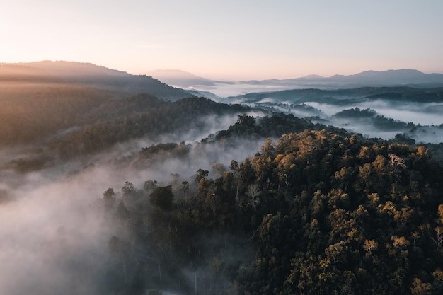 Volando por encima del amanecer y la niebla de las nubes, en la colina