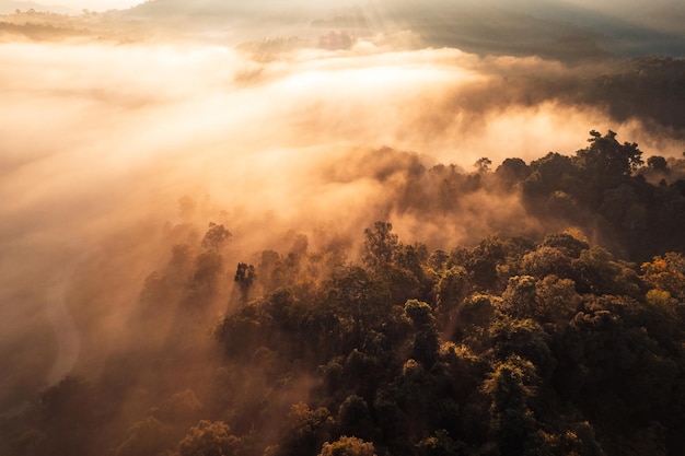 Volando por encima del amanecer y la niebla de las nubes, en la colina