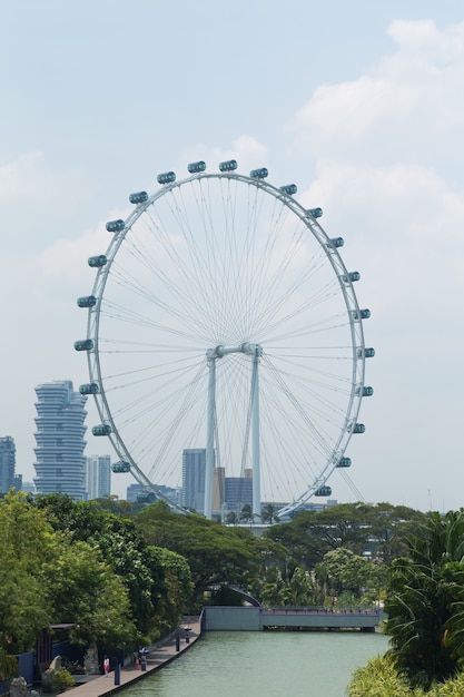 volante de Singapur