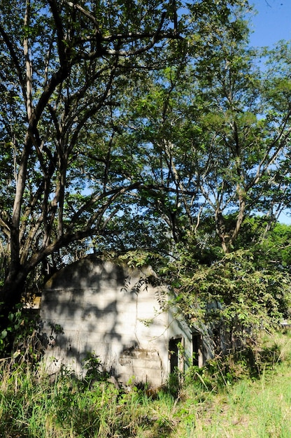 Foto volcán armero tolima