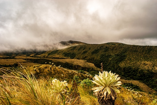 Volcan Azufral