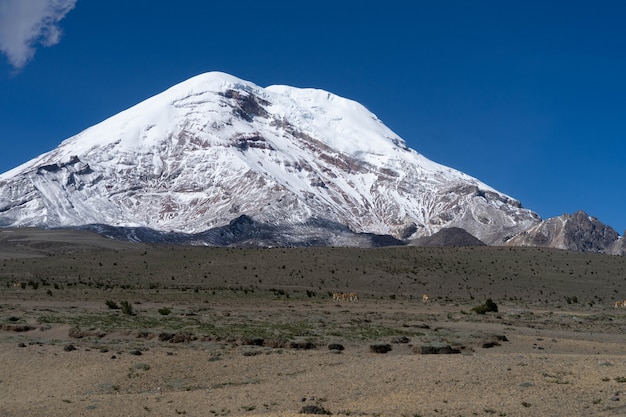 Volcán Chimborazo cubierto de nieve