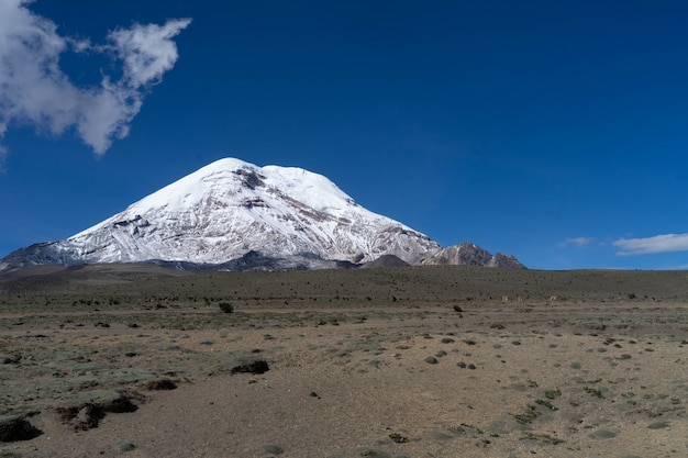 Foto volcán chimborazo cubierto de nieve