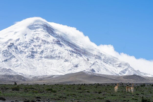 Foto el volcán chimborazo