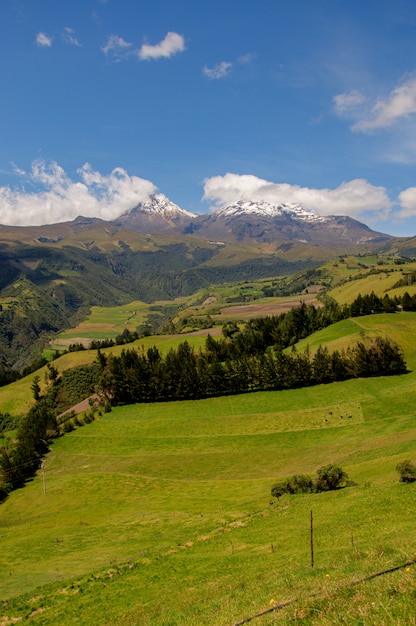 Foto el volcan ilinizas