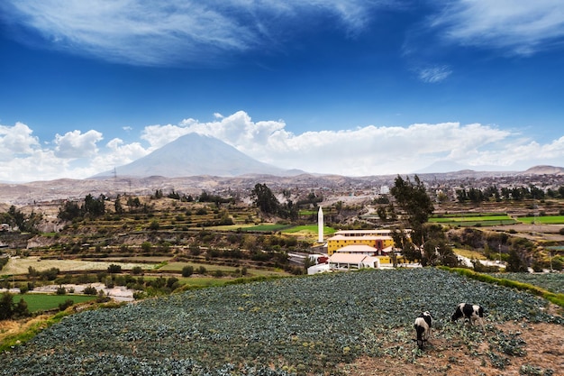 Volcán de las vacas y casco antiguo