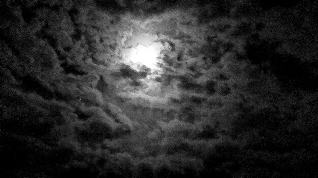 Vollbild auf weißem Hintergrund