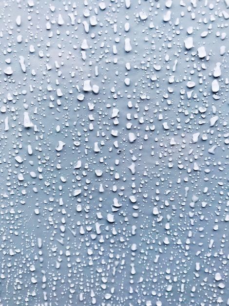 Vollbild des nassen Fensters