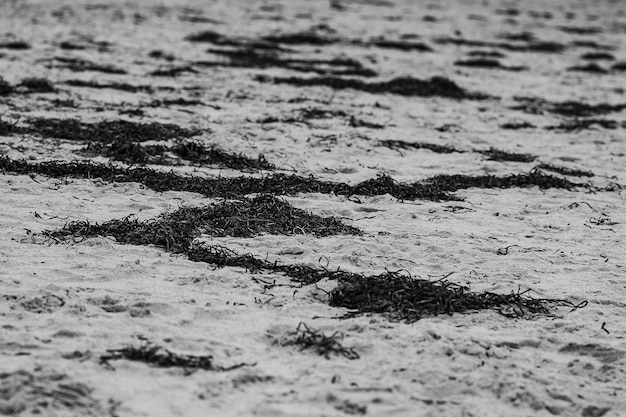 Foto vollbild des strandes