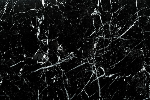 Vollbild eines nackten Baumes in der Nacht
